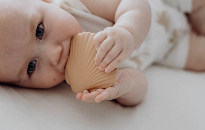 Silicone Teether - Seashell