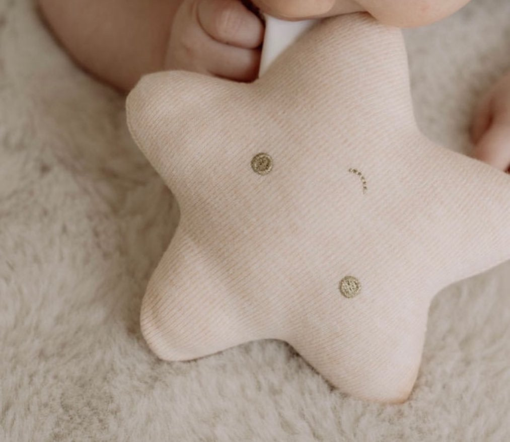 Starfish Rattle